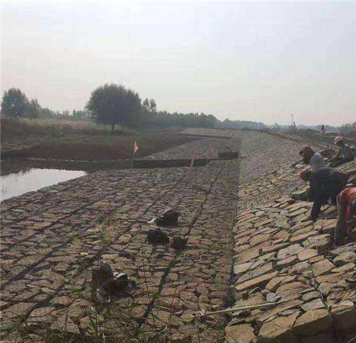 雷诺护垫应用图
