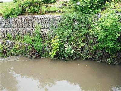 铅丝石笼围堰