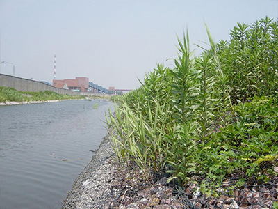 河道生态护岸格宾网