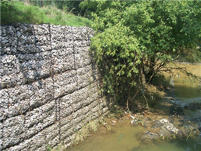 河道加筋固滨笼