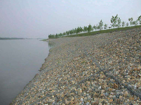 河道固滨笼护堤