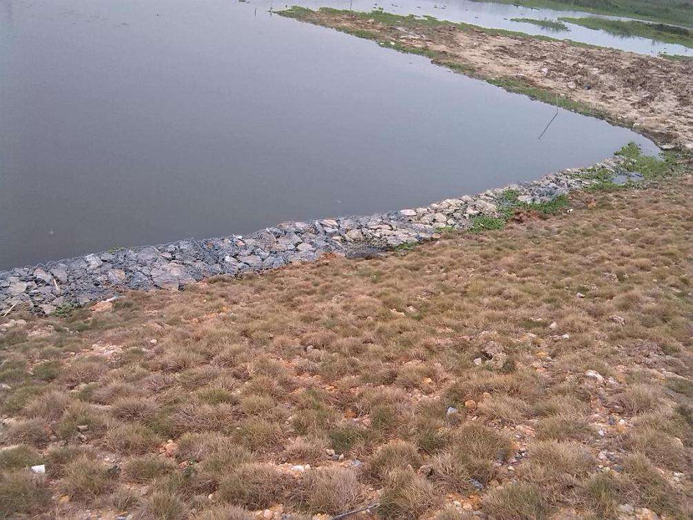 固滨笼河道护堤