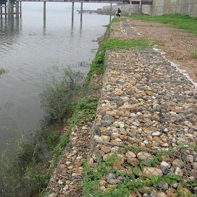 河道石笼网护岸