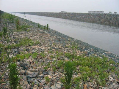 河道绿滨垫护坡