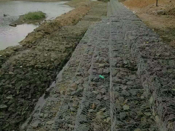 水利固滨笼护堤