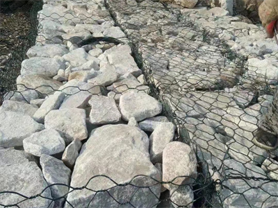 覆塑格宾网固脚
