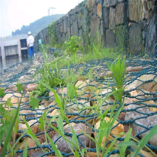 PA6石笼网